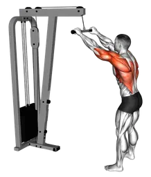 Pulldown a braccia tese ai cavi
