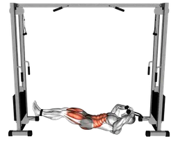 Reverse crunch tuck ai cavi
