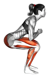 Squat alla sedia con oscillazione del polpaccio