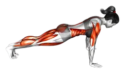 Posizione chaturanga
