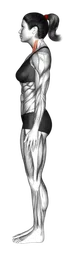 Retrazione del mento