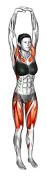 Squat in inchino con battito di mani