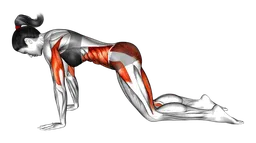 Posizione del cobra a gambe divaricate