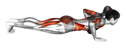 Piegamenti cobra