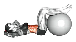 Crunch (gambe sulla fitball)