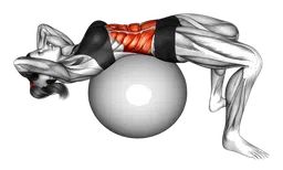 Crunch (sulla fitball)