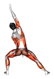 Piegamento del ballerino