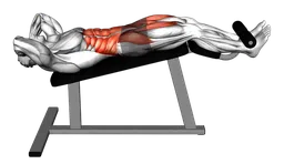 Sit-up su panca declinata (variante 3)