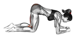 Donkey kick glute curl