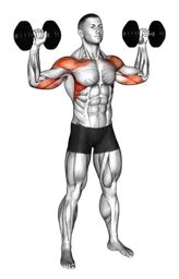 Shoulder press con manubri alternati