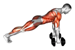 Push-up bear crawl con manubri
