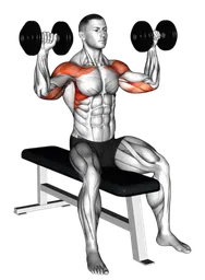 Shoulder press da seduto su panca con manubri