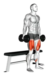 Squat su panca con manubri
