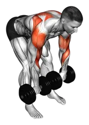 Face pull a busto flesso con manubri
