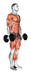 Burpee con manubri