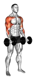 Curl press extension con manubri