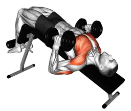 Hammer press su panca declinata con manubri