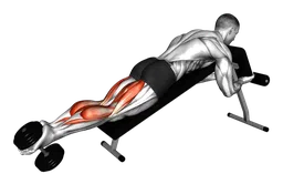 Leg curl sdraiato su panca declinata con manubri