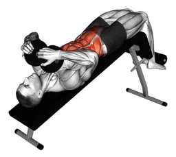 Sit-up su panca declinata con manubri