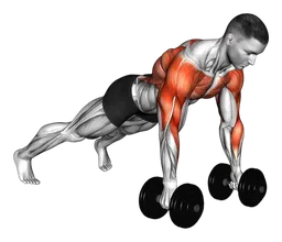 Push-up profondo e renegade row con manubri