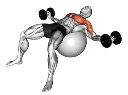Croci su fitball con manubri