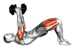 Skull crusher in glute bridge con manubri