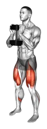 Goblet squat con manubri