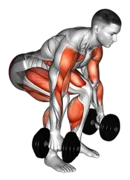 Hang power clean con manubri