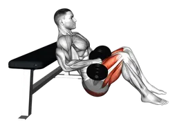 Hip thrust con manubri