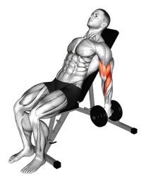 Hammer curl alternato con manubri su panca inclinata