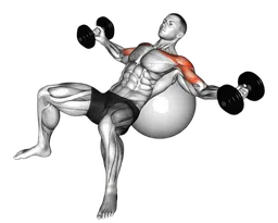 Croci con manubri su panca inclinata con fitball
