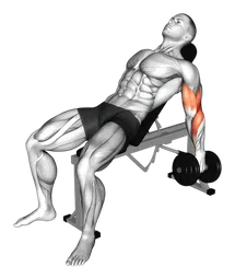 Hammer curl con manubri su panca inclinata
