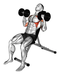 Shoulder press con manubri su panca inclinata