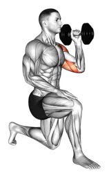 Shoulder press alternato in ginocchio con manubri