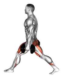 Split squat basso con manubri