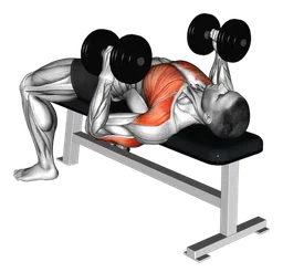 Hammer press da sdraiato con manubri
