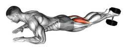 Hamstring curl da sdraiato con manubri