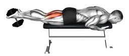 Leg curl da sdraiato con manubri