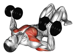 Chest press a terra da sdraiato con manubri