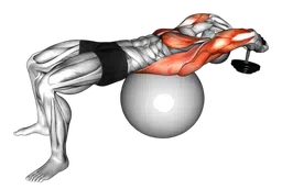 Pullover su fitball con manubri