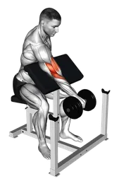 Curl inverso alla panca scott a un braccio con manubrio