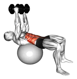 Crunch overhead su stability ball con manubri