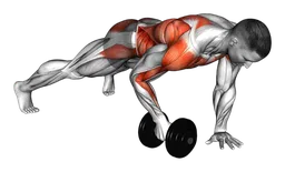Plank row con manubri