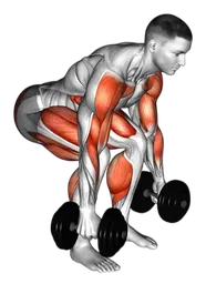 Power clean con manubri