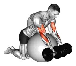 Preacher curl con manubri su fitball