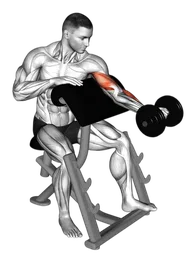 Preacher curl con manubri (busto ruotato)