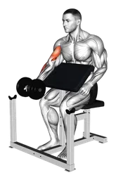 Preacher curl con manubri