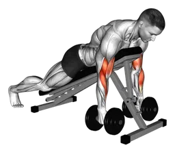 Hammer curl alternato prono con manubri