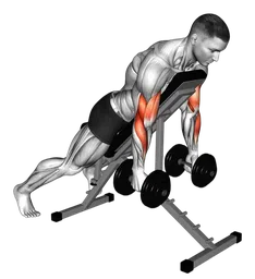 Hammer curl su panca inclinata prono con manubri