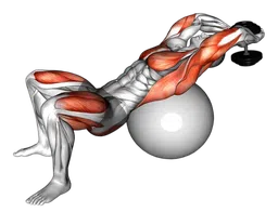 Pullover con estensione anca su fitball con manubri